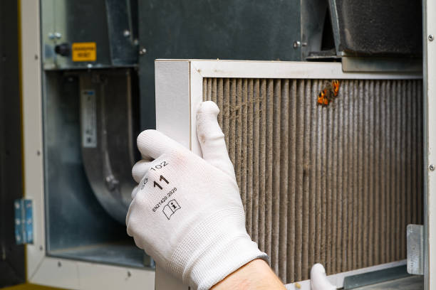 Best Affordable HVAC Duct Cleaning  in Forest Ranch, CA