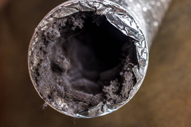 Best HVAC Duct Inspection Services  in Forest Ranch, CA