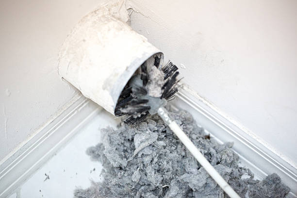 Best Emergency Air Duct Cleaning  in Forest Ranch, CA